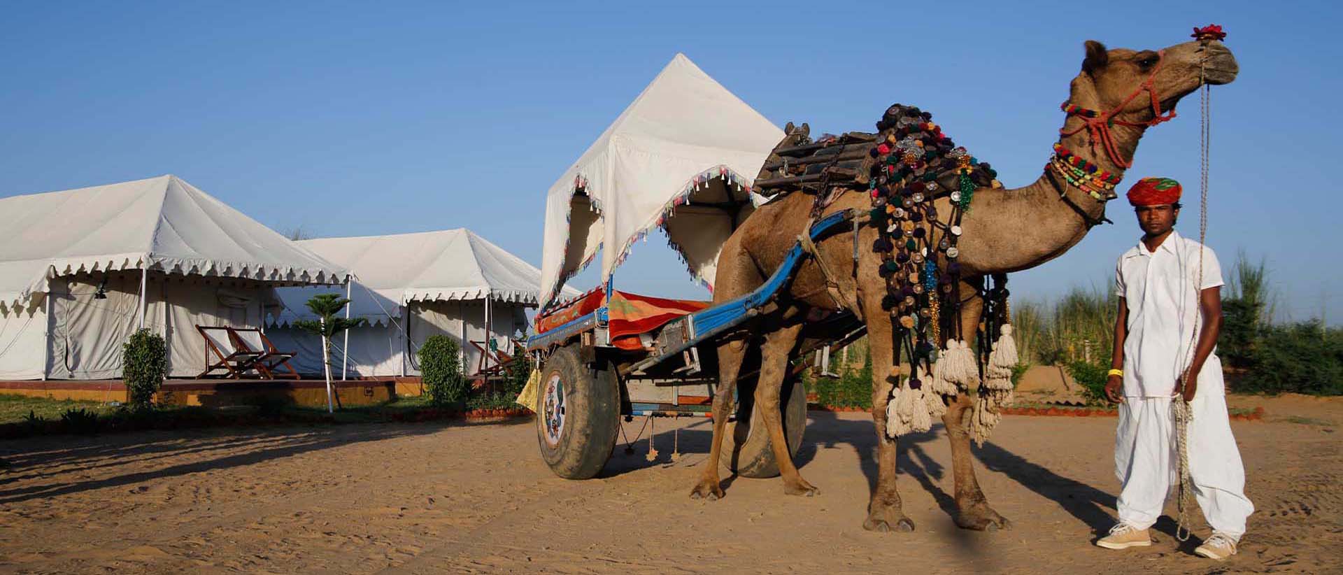 Camel Safari, Pushkar Fair Accomodation, Camp Pushkar camp pushkar,desert camp,tent pushkar,fair accomodation, adventure pushkar safari, camel safari