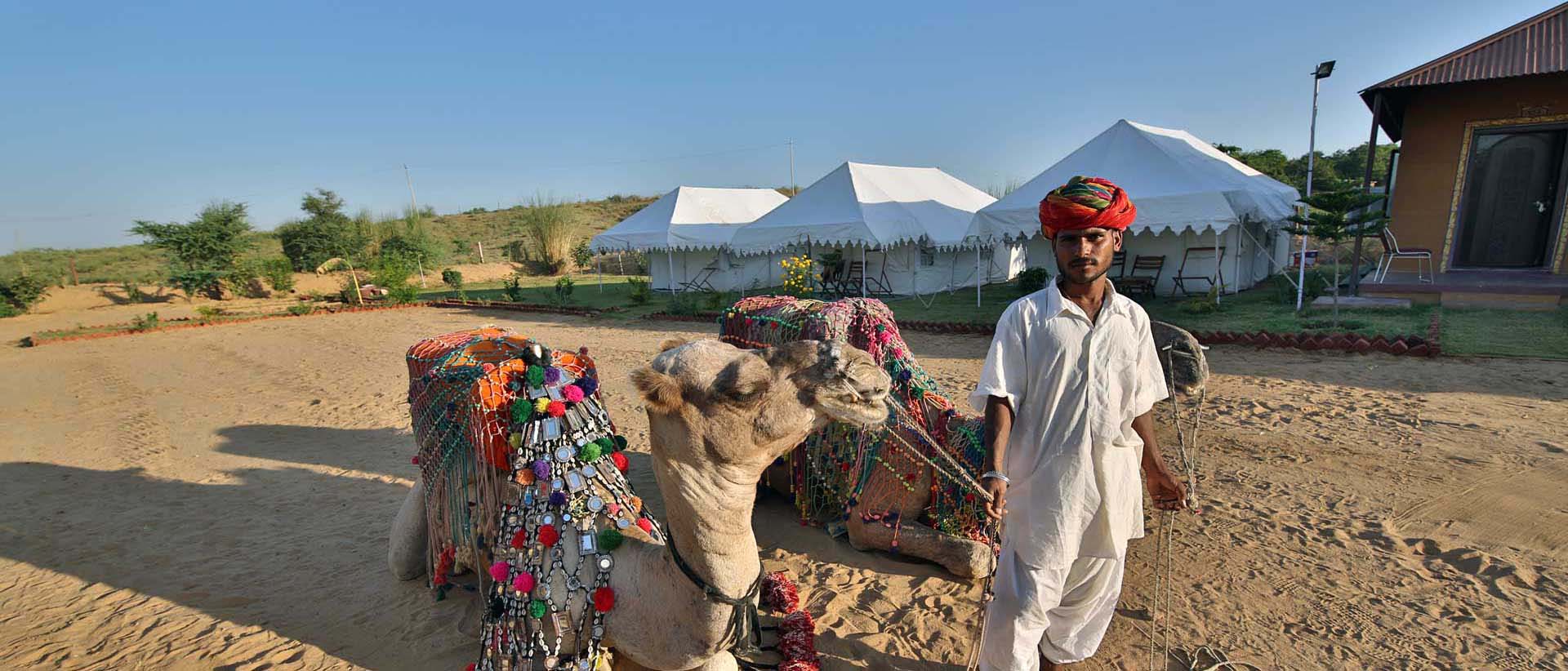 Camel Safari, Pushkar Fair Accomodation, Camp Pushkar camp pushkar,desert camp,tent pushkar,fair accomodation, adventure pushkar safari, camel safari