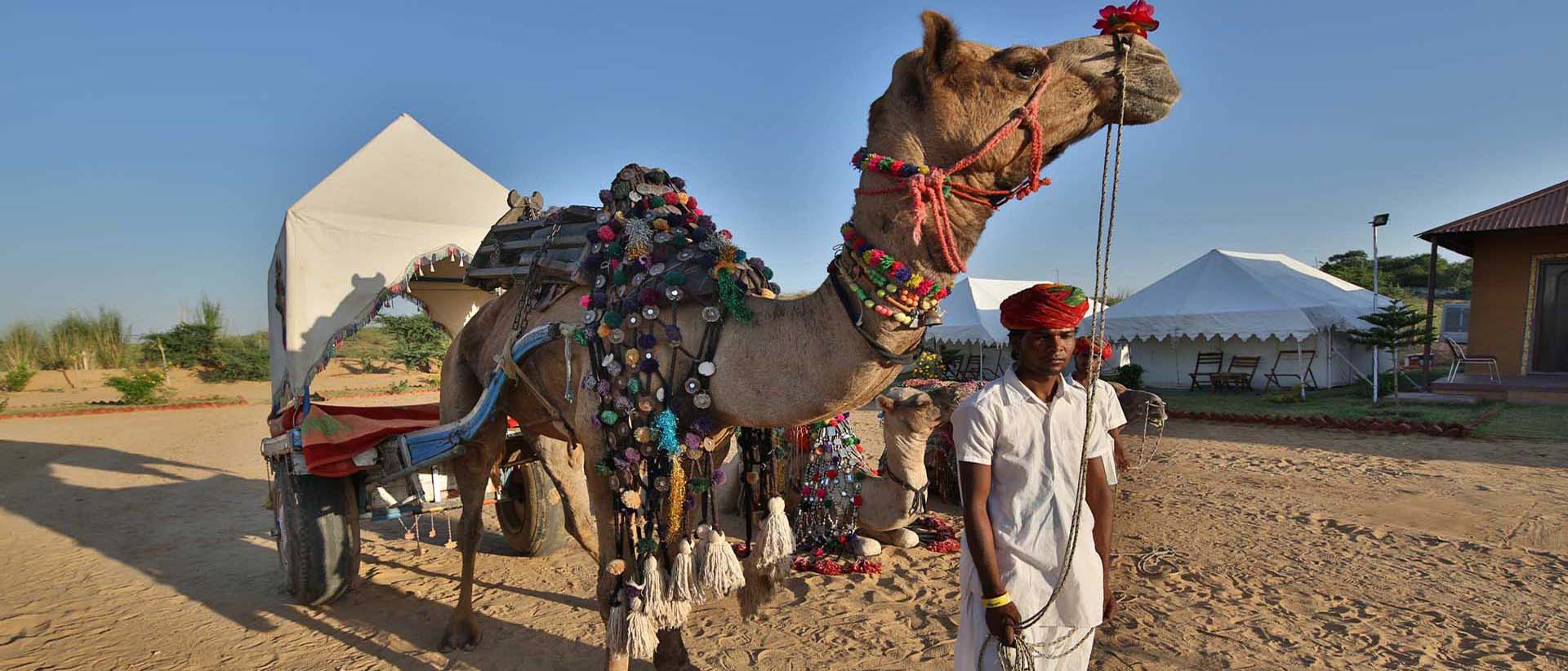 Camel Safari, Pushkar Fair Accomodation, Camp Pushkar camp pushkar,desert camp,tent pushkar,fair accomodation, adventure pushkar safari, camel safari