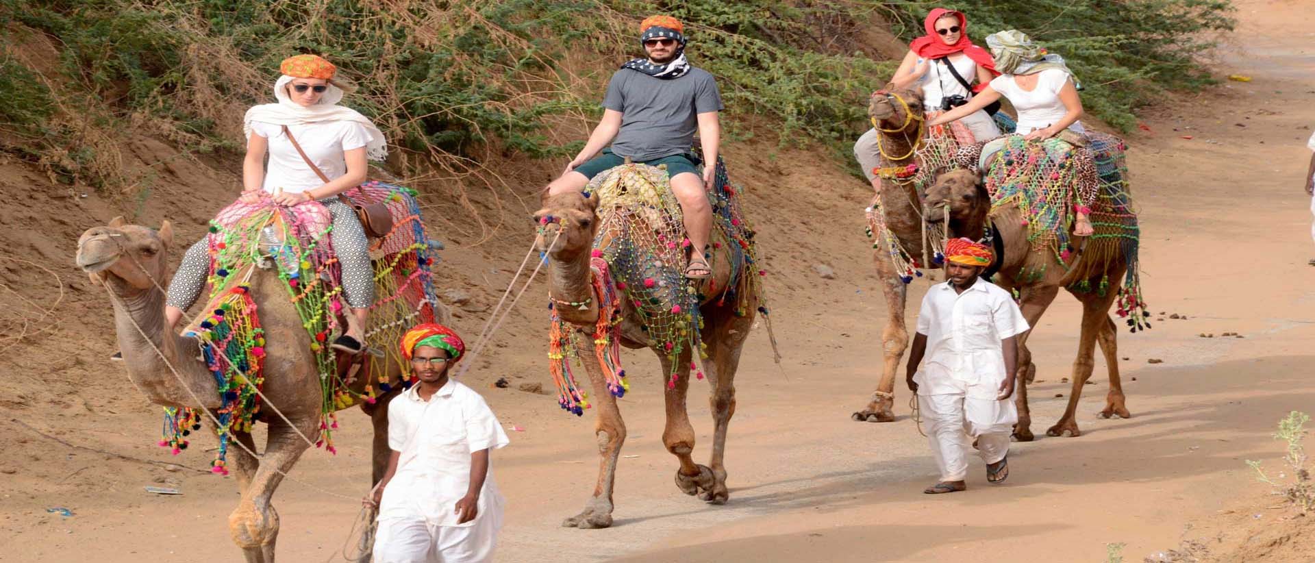 Camel Safari, Pushkar Fair Accomodation, Camp Pushkar camp pushkar,desert camp,tent pushkar,fair accomodation, adventure pushkar safari, camel safari