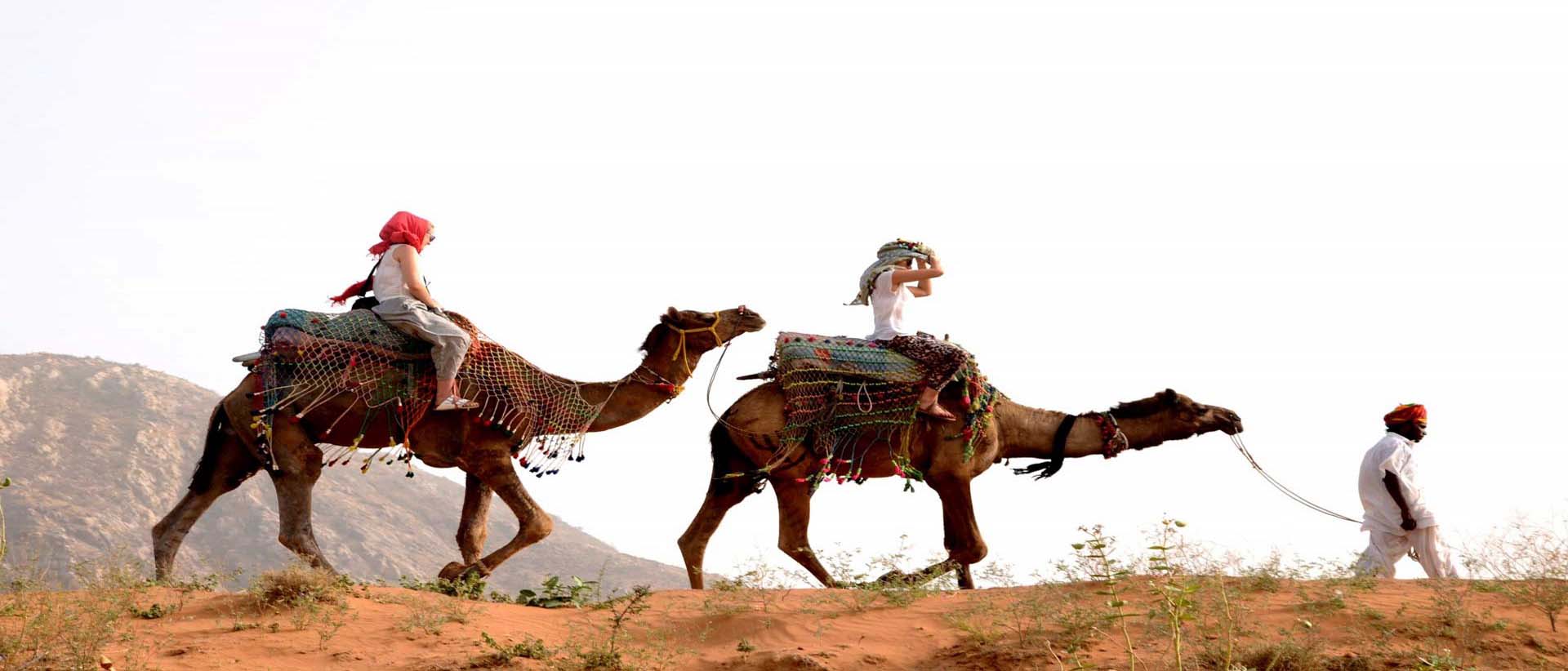 Camel Safari, Pushkar Fair Accomodation, Camp Pushkar camp pushkar,desert camp,tent pushkar,fair accomodation, adventure pushkar safari, camel safari