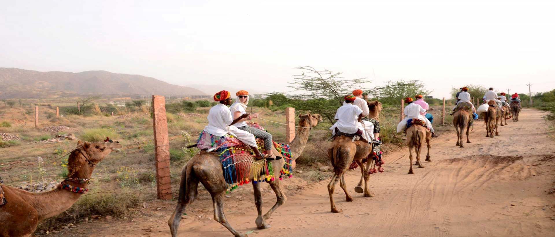 Camel Safari, Pushkar Fair Accomodation, Camp Pushkar camp pushkar,desert camp,tent pushkar,fair accomodation, adventure pushkar safari, camel safari